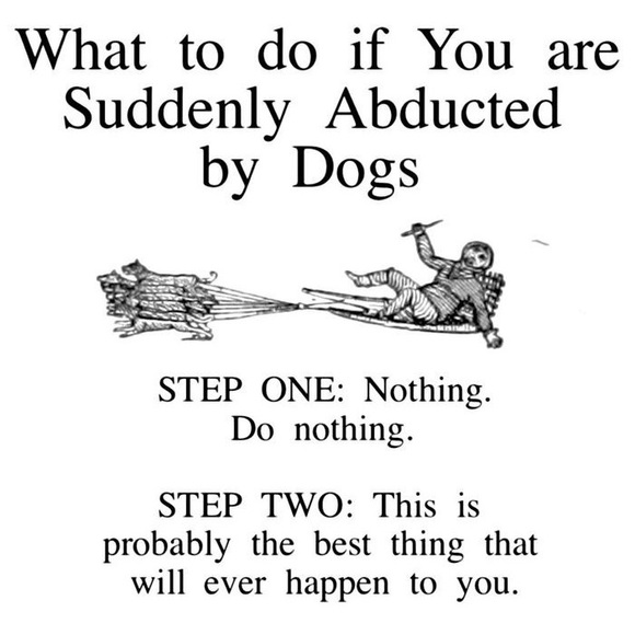 Meet your Posher, Lisa - Picture 6 of 11